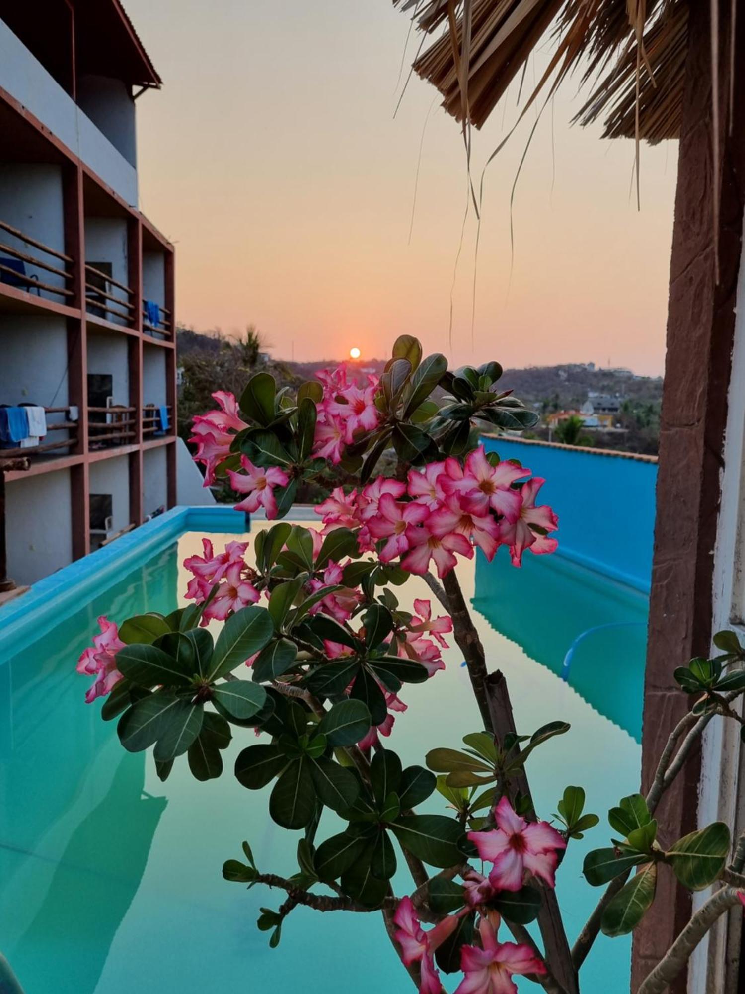 Namaste Zipolite Suites Eksteriør bilde